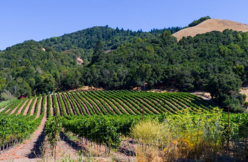 Local Brick Veneer Installation in Santa Rosa, CA